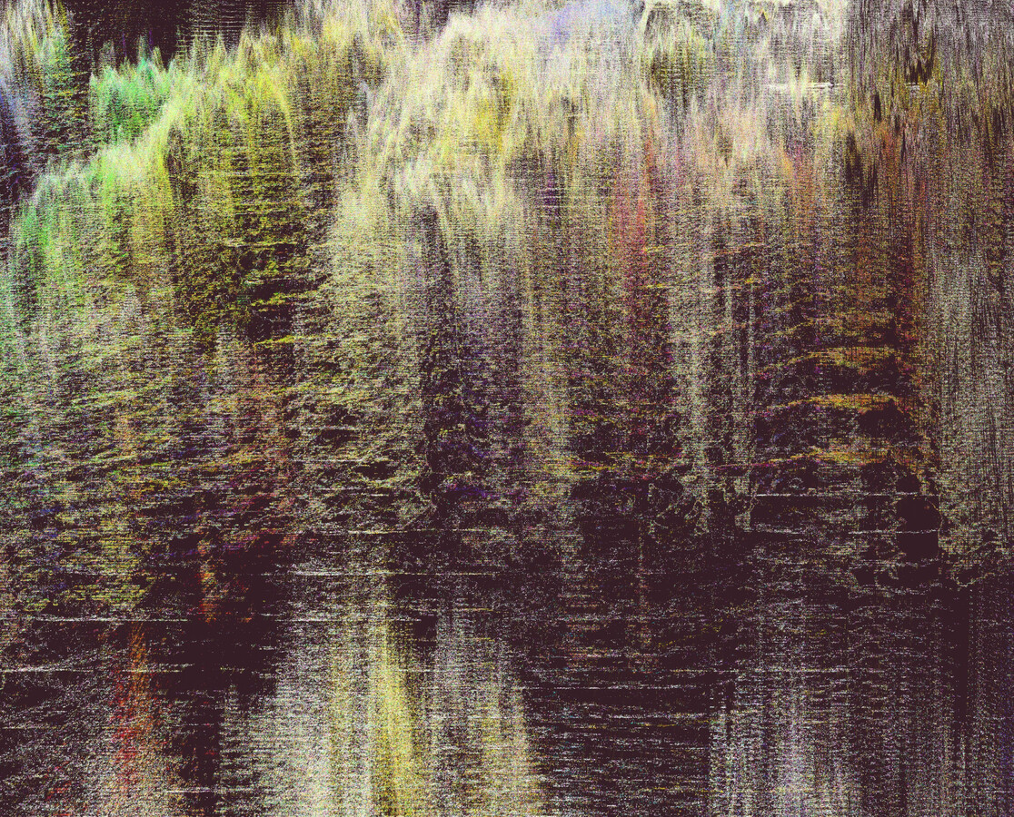 random splash image